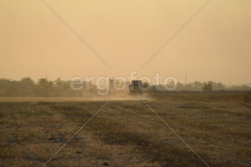 Harvesting by combines at sunset. Agricultural machinery in operation.