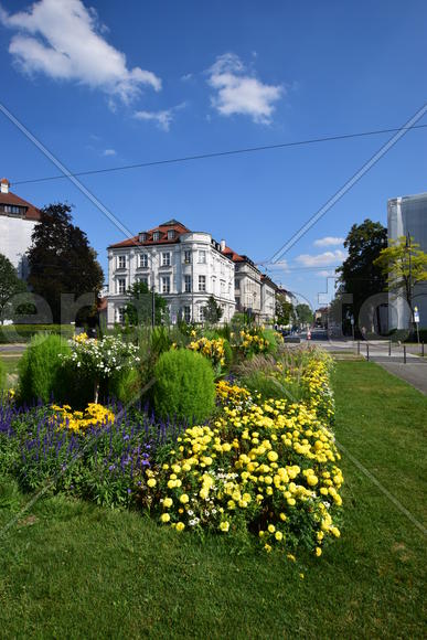 Германия. Мюнхен. Клумба с цветами 
