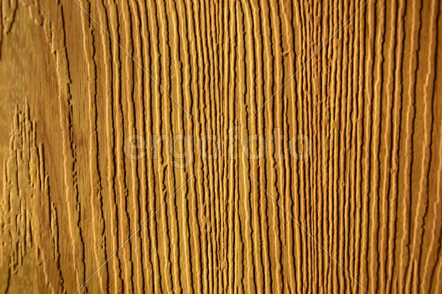 Фон. Текстура дерева 