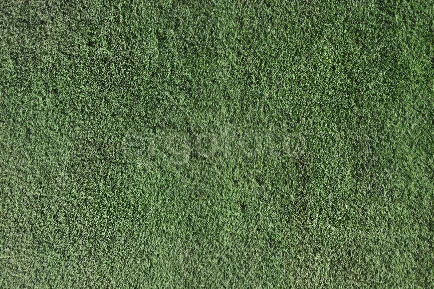 Фон. Текстура зеленого газона 