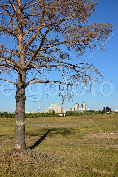 Астана. Городская архитектура. Современные высотные здания 