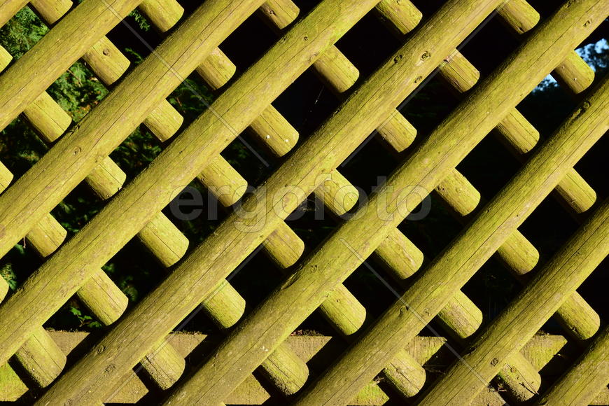 Фон. Текстура дерева 