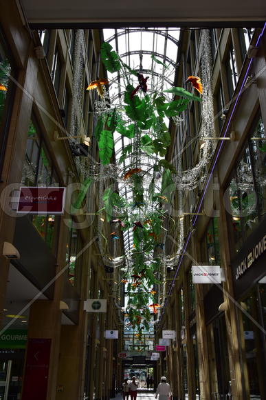 Германия. Мюнхен. Улицы города 