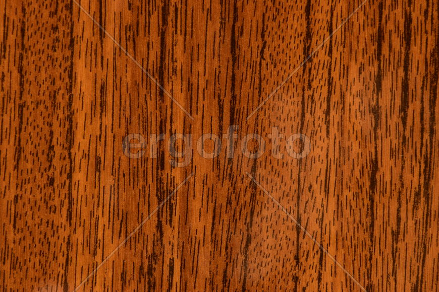 Фон. Текстура дерева 