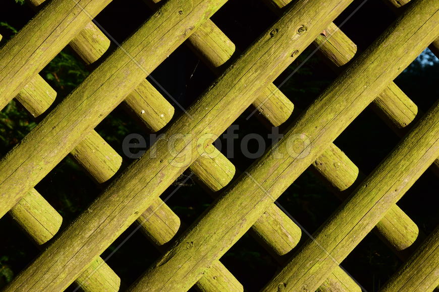 Фон. Текстура дерева 