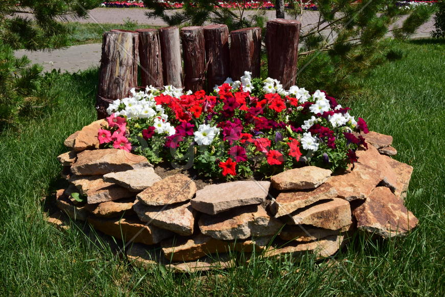 Городские клумбы 