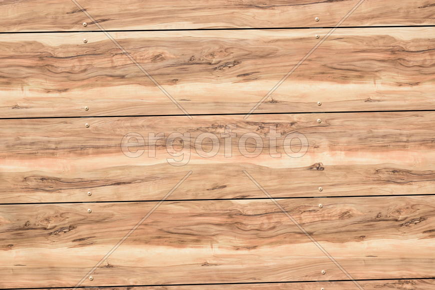 Фон. Текстура дерева 