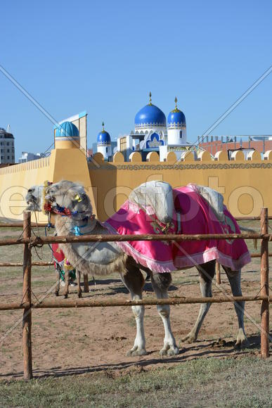 Астана - Этнический фестиваль летом 2017