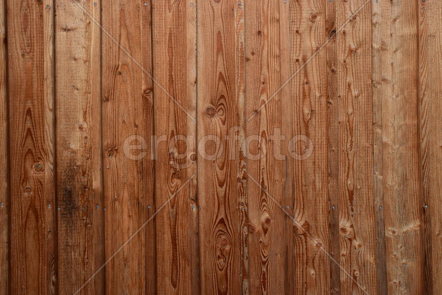 Фон. Текстура дерева 