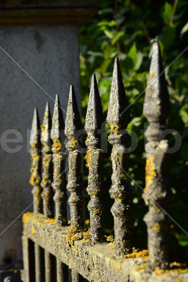 Германия. Мюнхен. Кованная решетка 