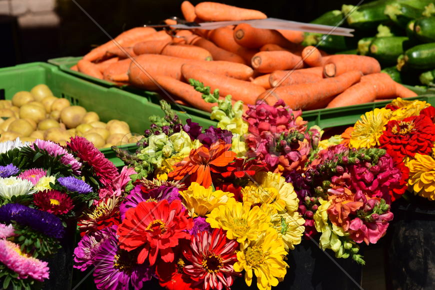 Натюрморт из цветов и овощей 
