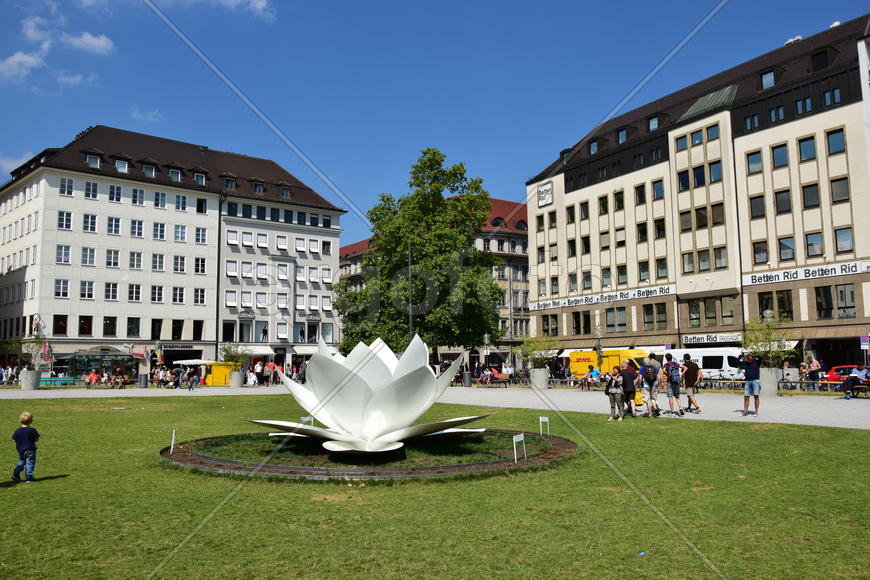 Германия. Мюнхен. Современное исскуство. Кувшинка 