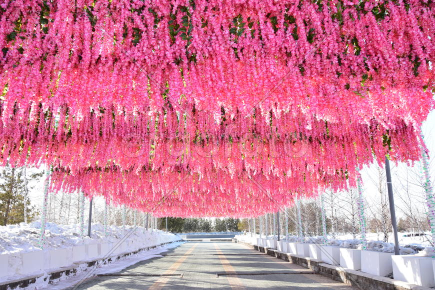 Праздник "Наурыз" в Астане