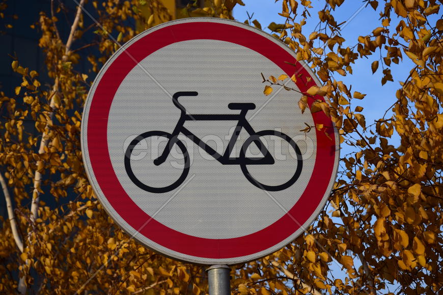 Дорожные знаки 