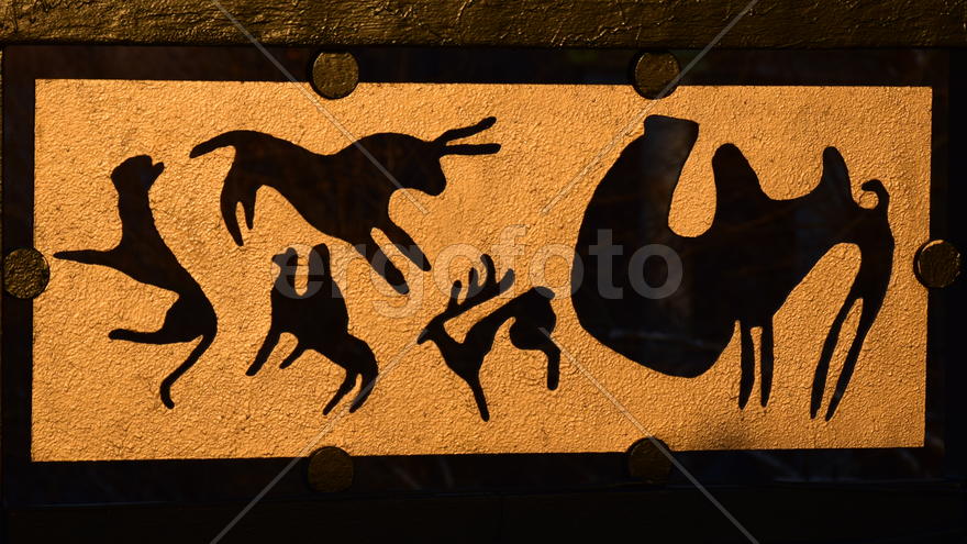 Изображение животных. Контуры и силуэты 