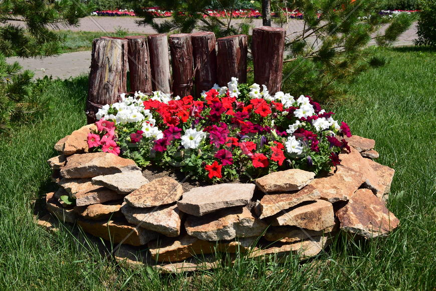 Городские клумбы 