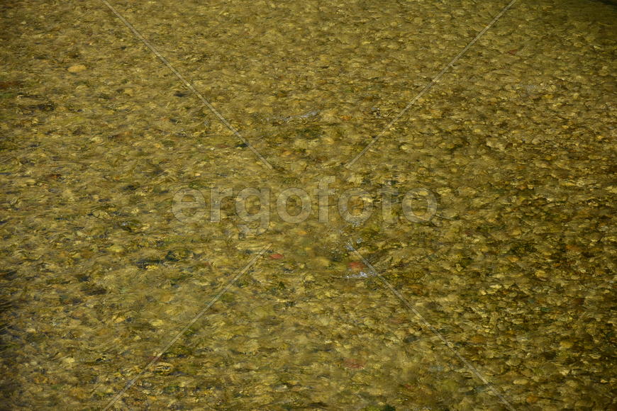 Фон, текстура воды 