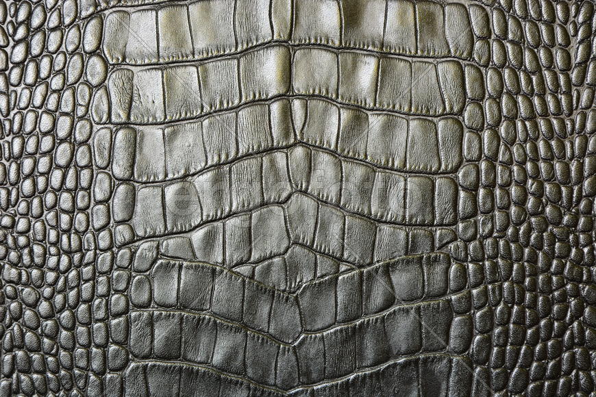 Фон. Текстура кожи 
