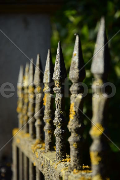 Германия. Мюнхен. Кованная решетка 