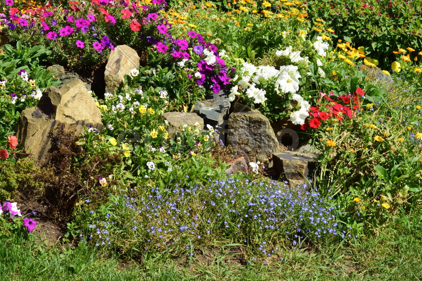 Городские клумбы 