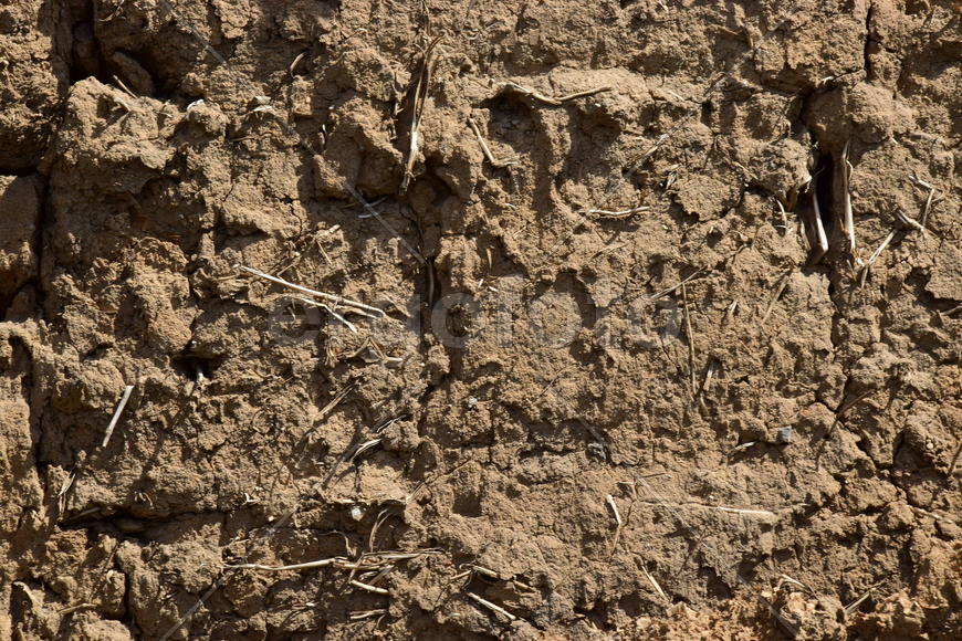 Фон, текстура земли 