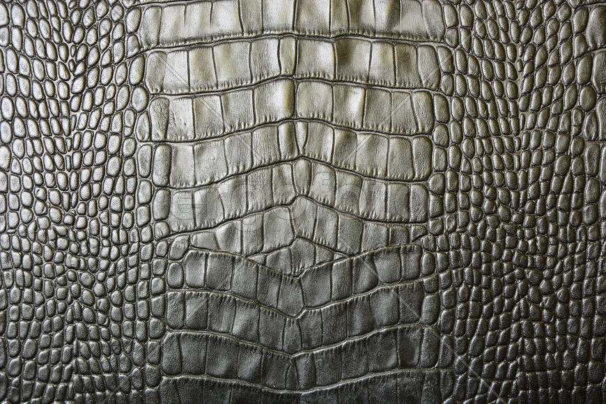 Фон. Текстура кожи 
