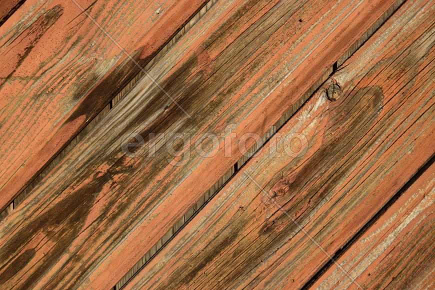 Фон. Текстура дерева 