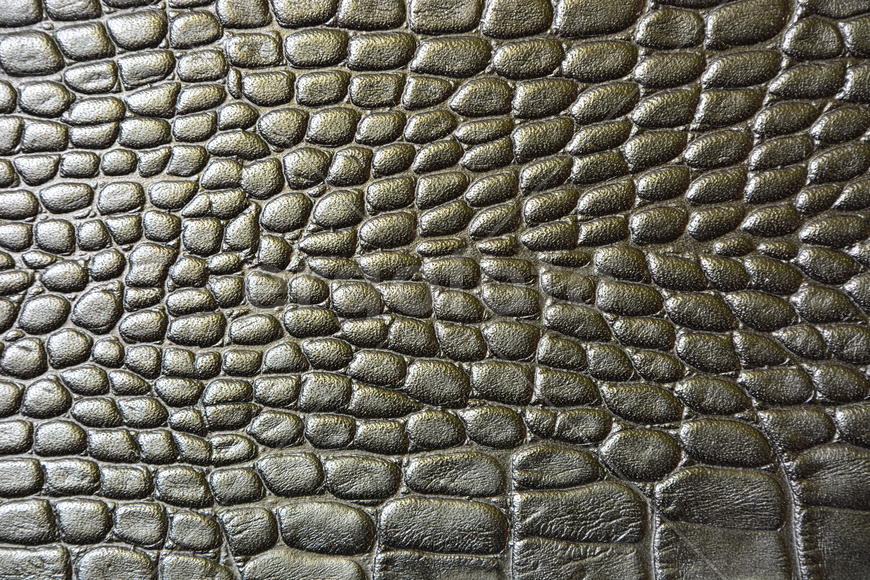 Фон. Текстура кожи 