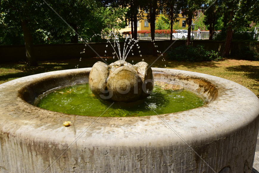 Германия - город Бамберг. Фонтан в виде чаши 