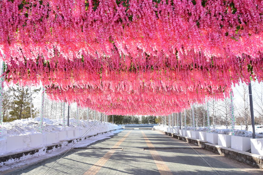 Праздник "Наурыз" в Астане