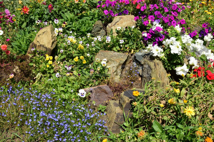 Городские клумбы 