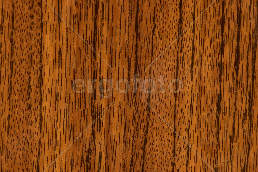 Фон. Текстура дерева 