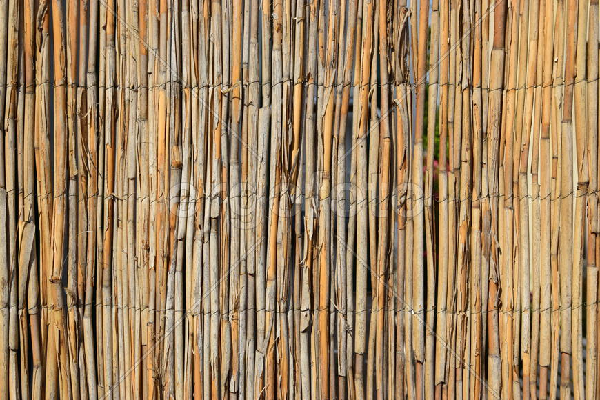 Фон. Текстура дерева 