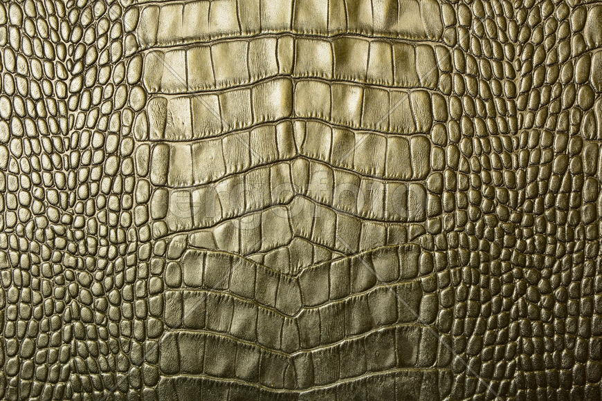 Фон. Текстура кожи 