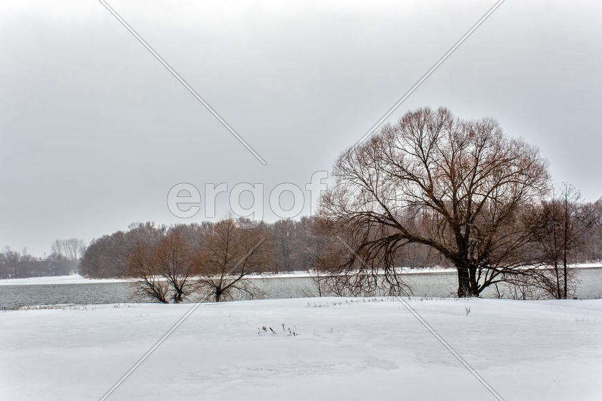 004  На берегу Суры. Барковка. Пенза. 22.02.2016
