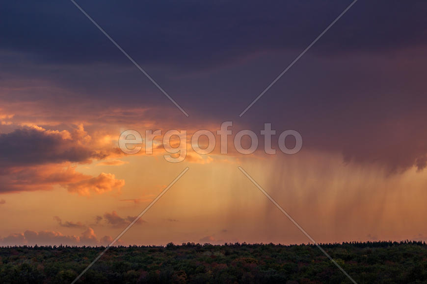 003  Небо над Арбековским лесом в Запрудном. Пенза. 26.09.2015