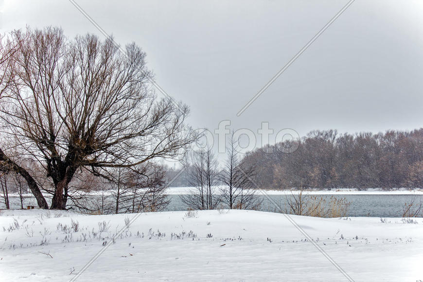 006  На берегу Суры. Барковка. Пенза. 22.02.2016