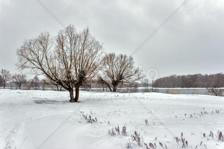 005  На берегу Суры. Барковка. Пенза. 22.02.2016