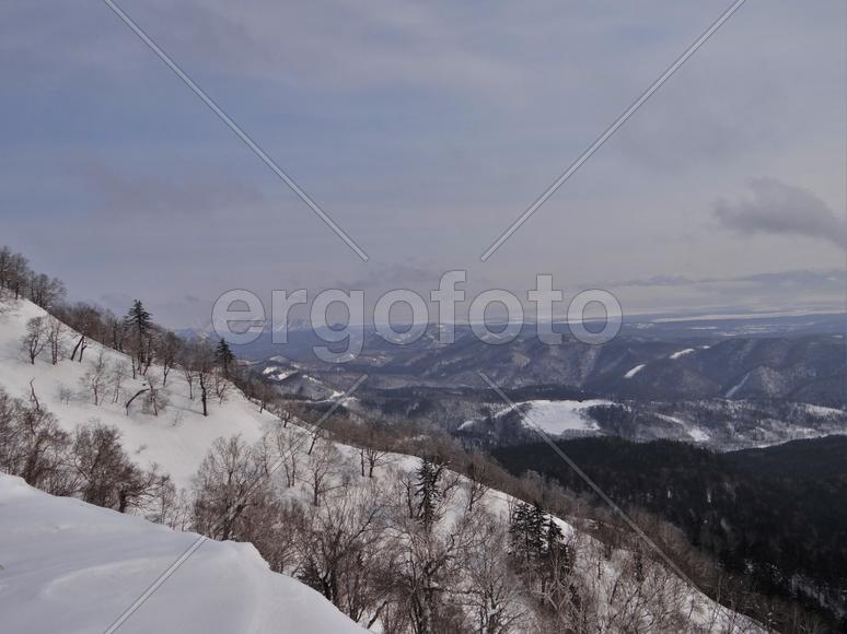 Сахалин. Мицуля