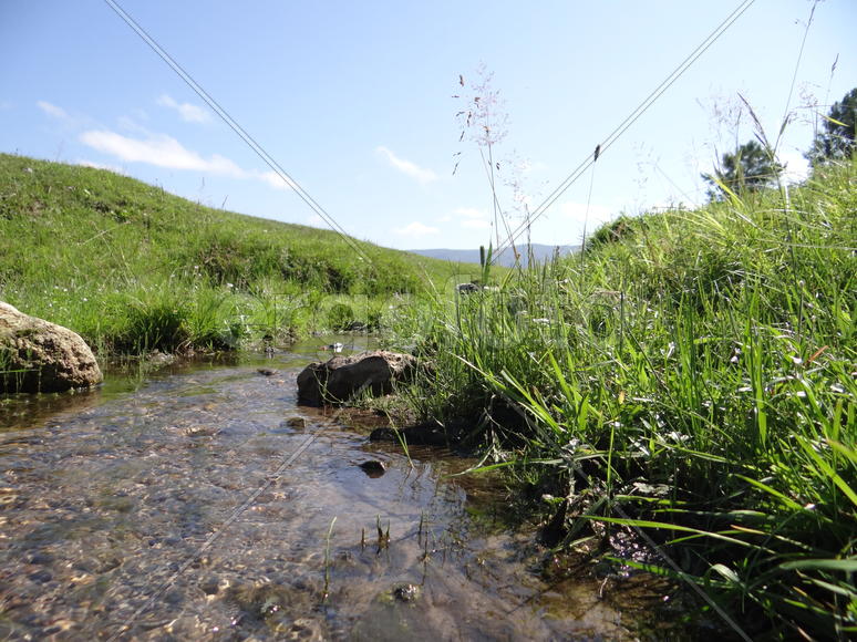 Ручей на острове Ольхон