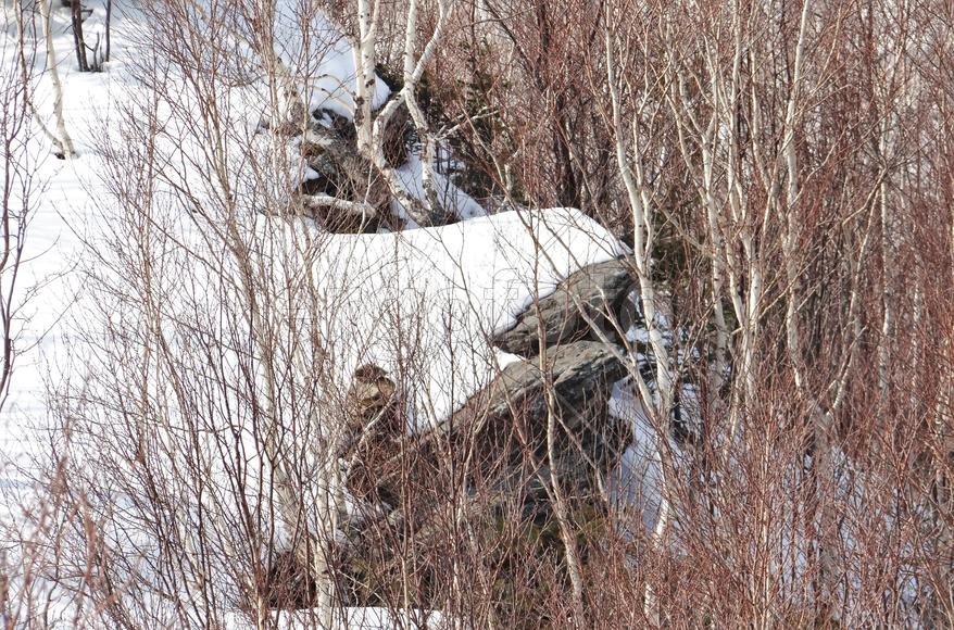 Сахалин. Останец Лягушка