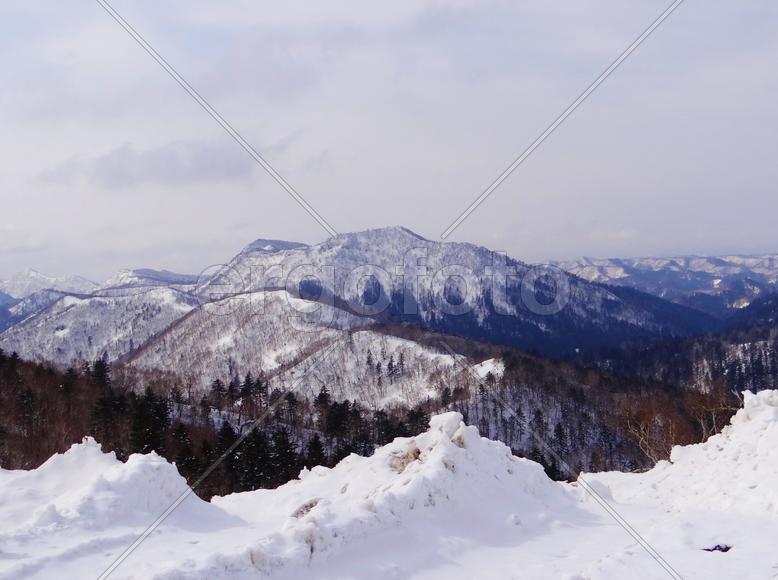 Сахалин. Мицуля