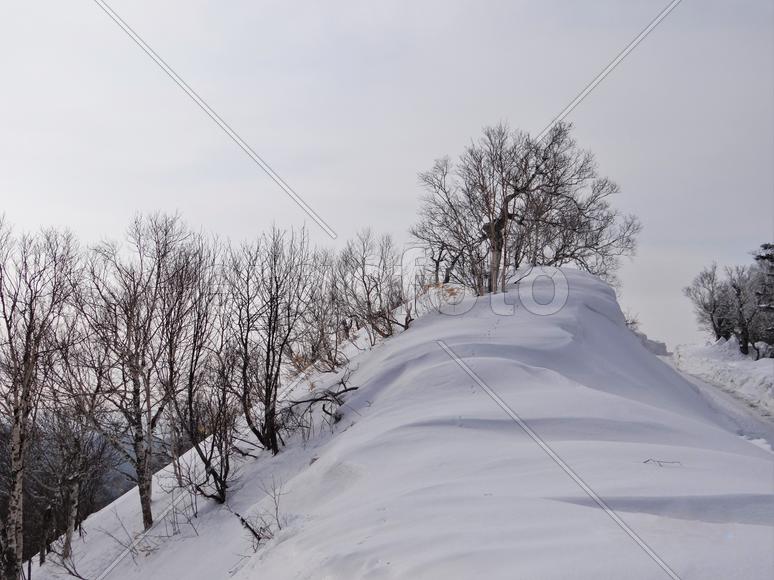 Сахалин. Мицуля