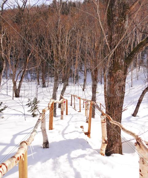 Зимняя тропа