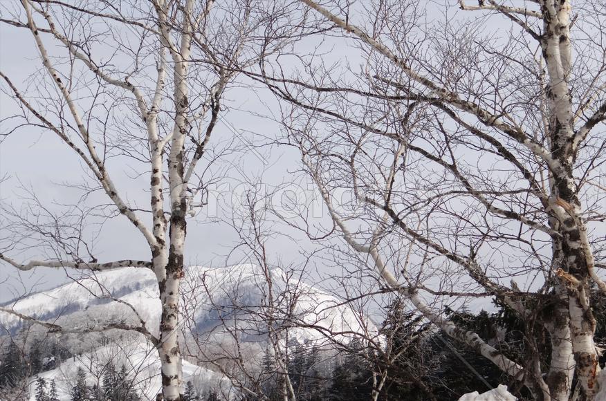 Сахалин. Мицуля