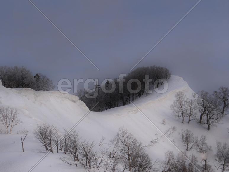 Сахалин. Мицуля