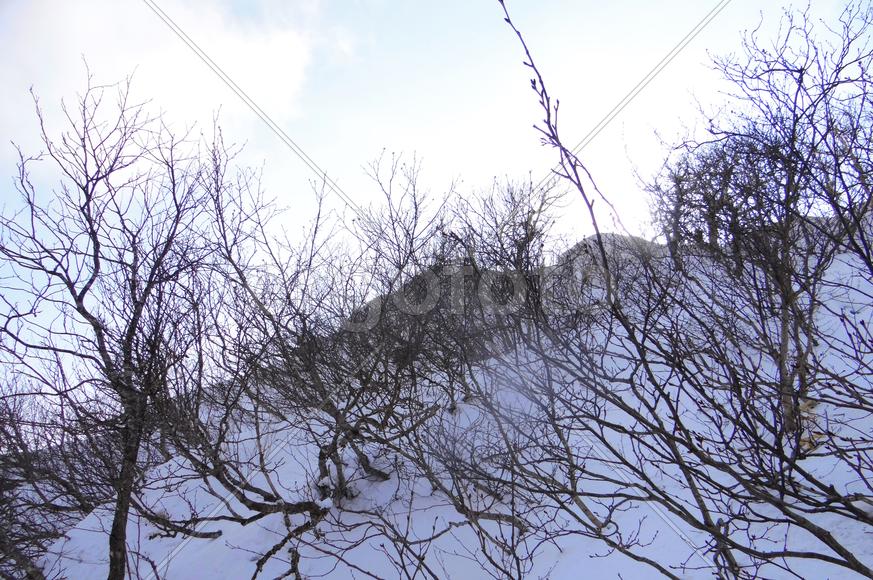 Зимний пейзаж