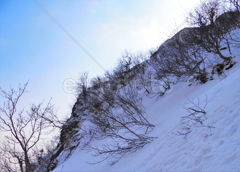 Зимний пейзаж