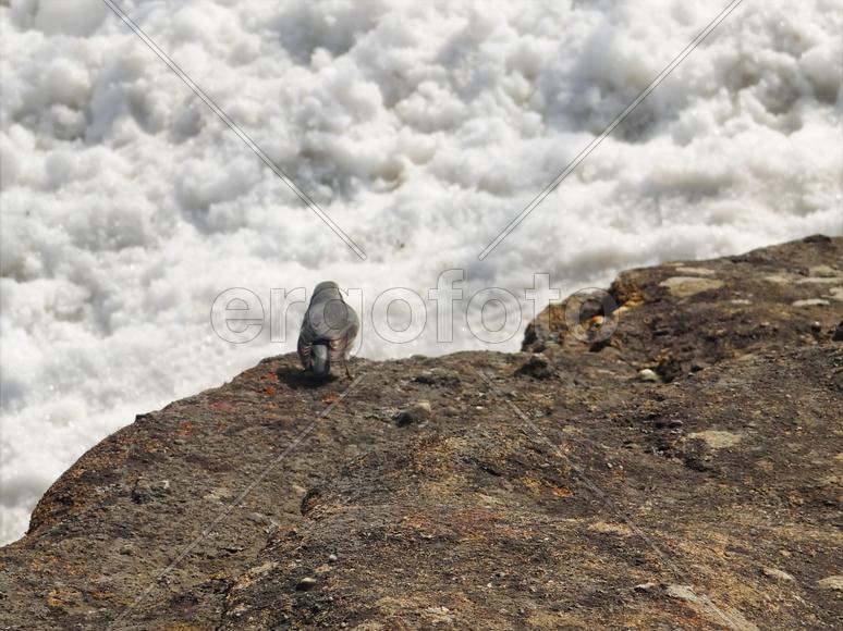 Сахалин. Останец Лягушка