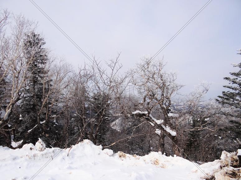Сахалин. Мицуля